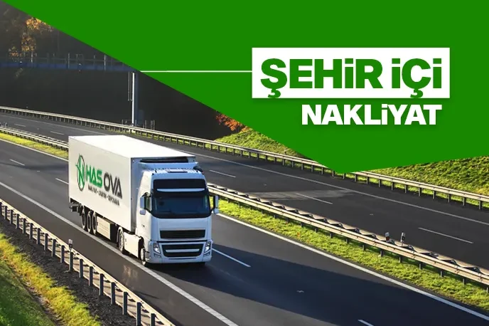 Bireysel Hizmetler 2 HIZMETLERIMIZ SEHIR ICI